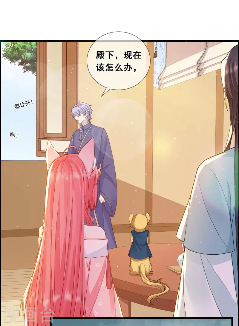 狐妃，别惹火2漫画,第17话 计划2图