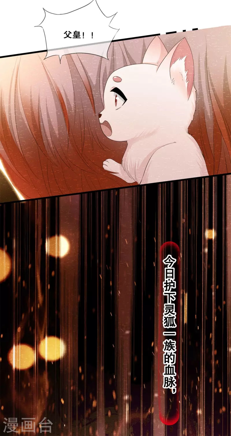 狐妃，别惹火2漫画,第33话 关乎存亡2图