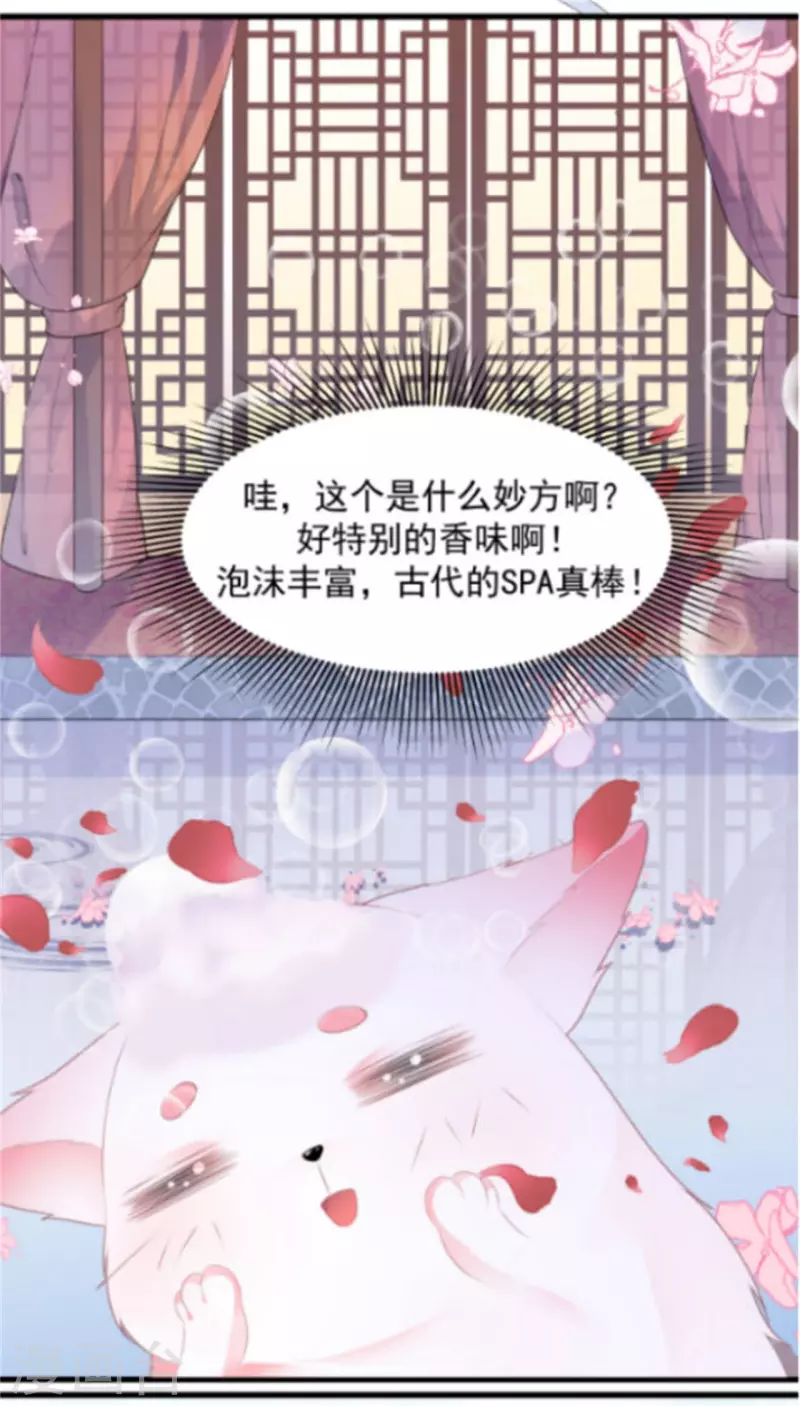 狐妃，别惹火2漫画,七夕节番外 发福利发福利发福利啦！2图