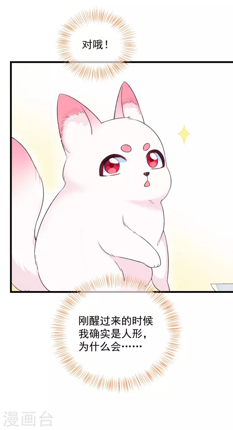 狐妃，别惹火2漫画,第2话 未婚夫1图