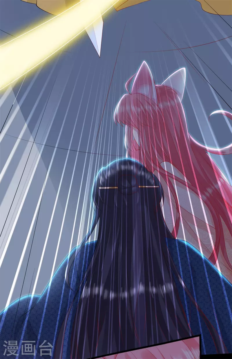 狐妃，别惹火2漫画,第37话 清希显身手1图