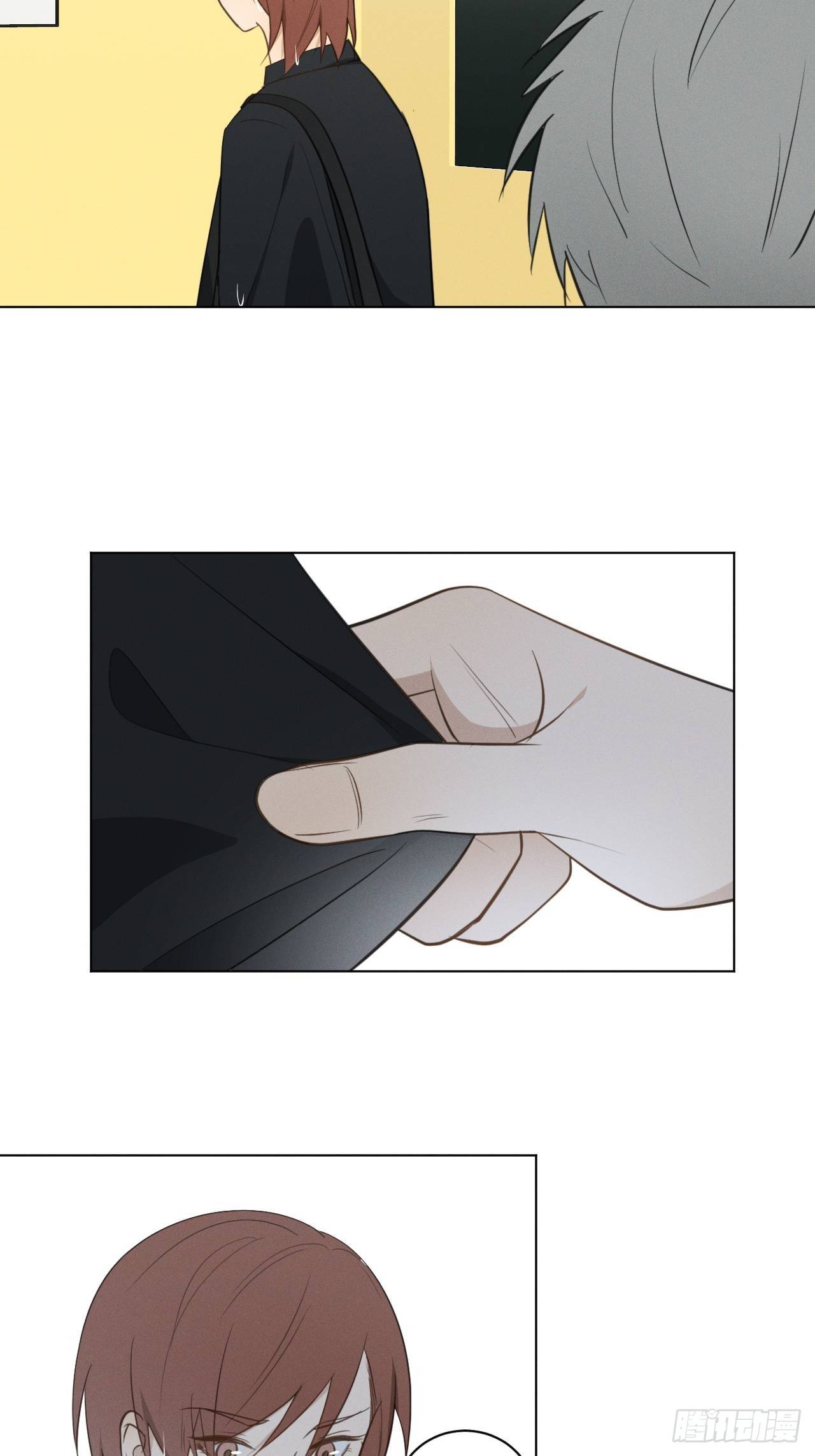 野狮的驯服方式漫画,第57话 野猫驯服1图