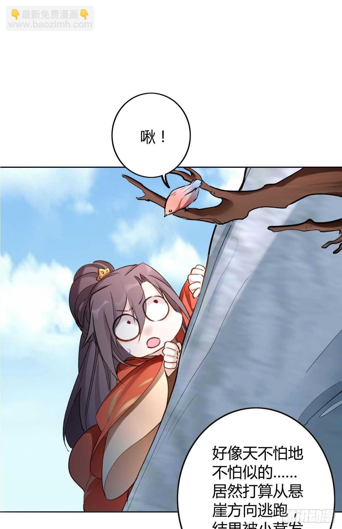 逆来顺兽简介漫画,47 阿柒去代嫁啦？！2图