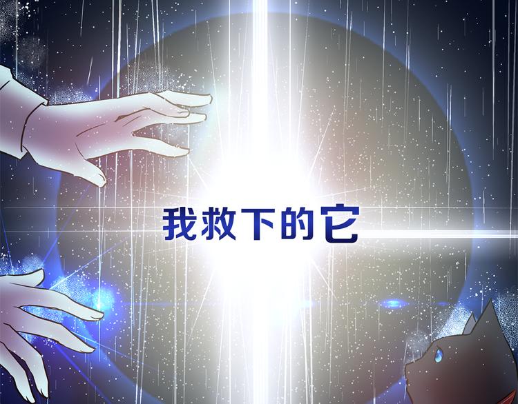 猫王子的新娘土豪漫画漫画,序章 遇见异瞳猫王子1图