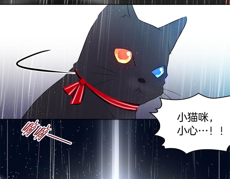 猫王子的新娘土豪漫画漫画,序章 遇见异瞳猫王子2图