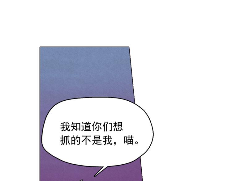 钻进前世你的怀抱漫画,第24话 我要买下那只说话猫！2图