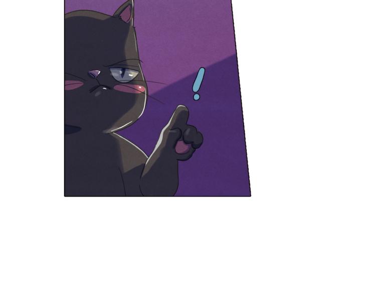 钻进前世你的怀抱漫画,第24话 我要买下那只说话猫！1图
