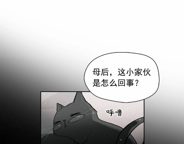 钻进前世你的怀抱漫画,第61话 美男的能力1图