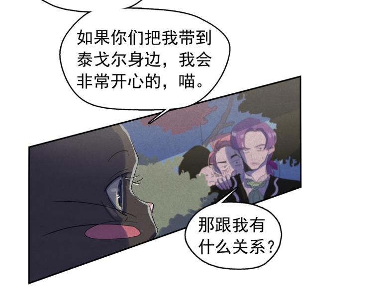 钻进前世你的怀抱漫画,第24话 我要买下那只说话猫！2图