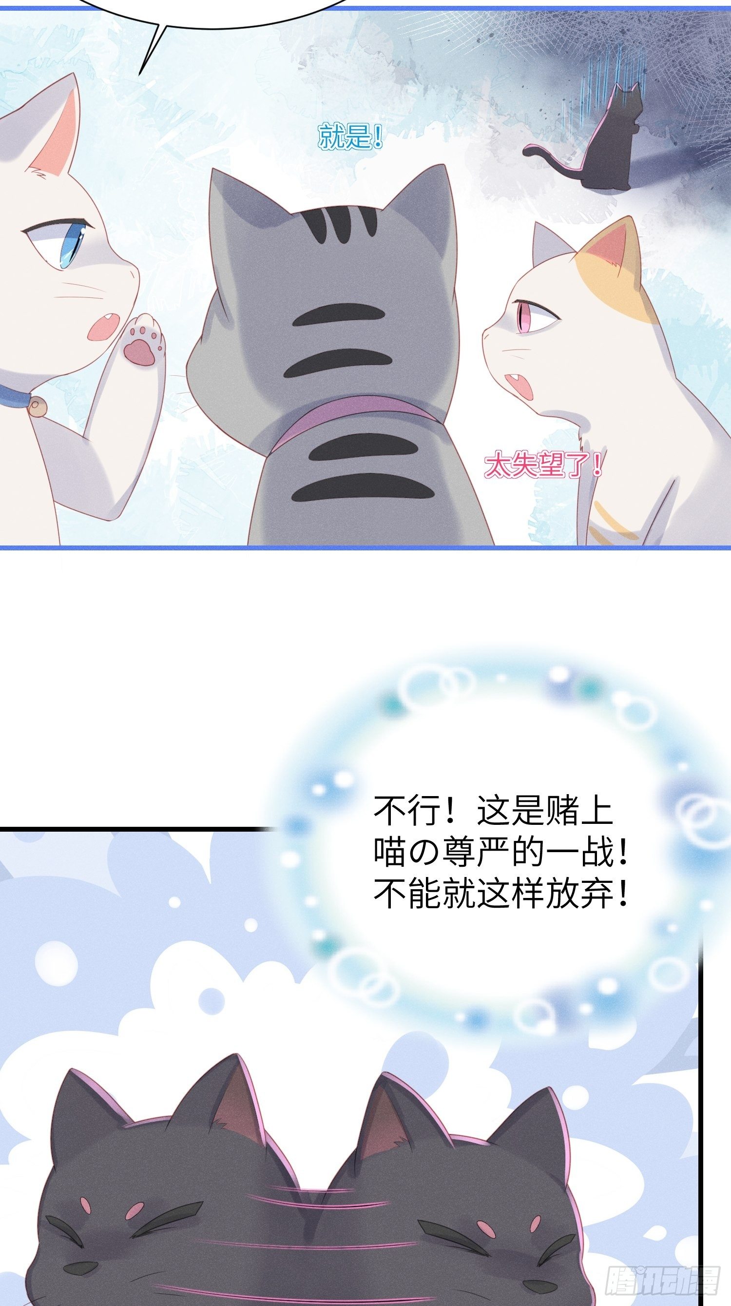 顶流大佬的专属小锦鲤漫画,赌上喵的尊严！1图