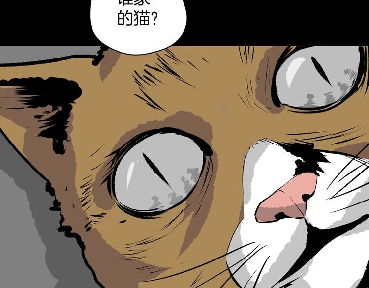 奇异档案漫画,第6话 猫的报恩（1）1图