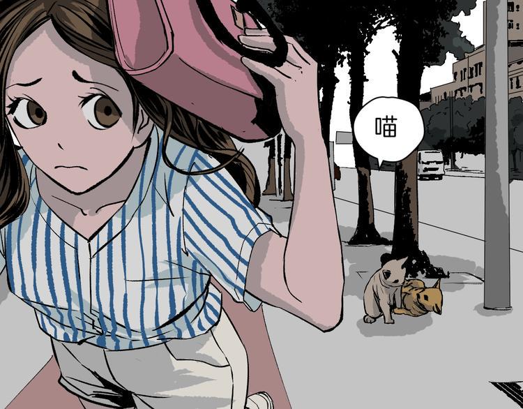 奇异档案漫画,第6话 猫的报恩（1）1图