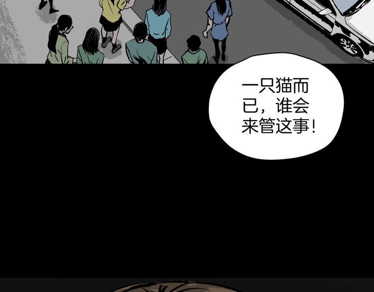 奇异档案漫画,第6话 猫的报恩（1）1图