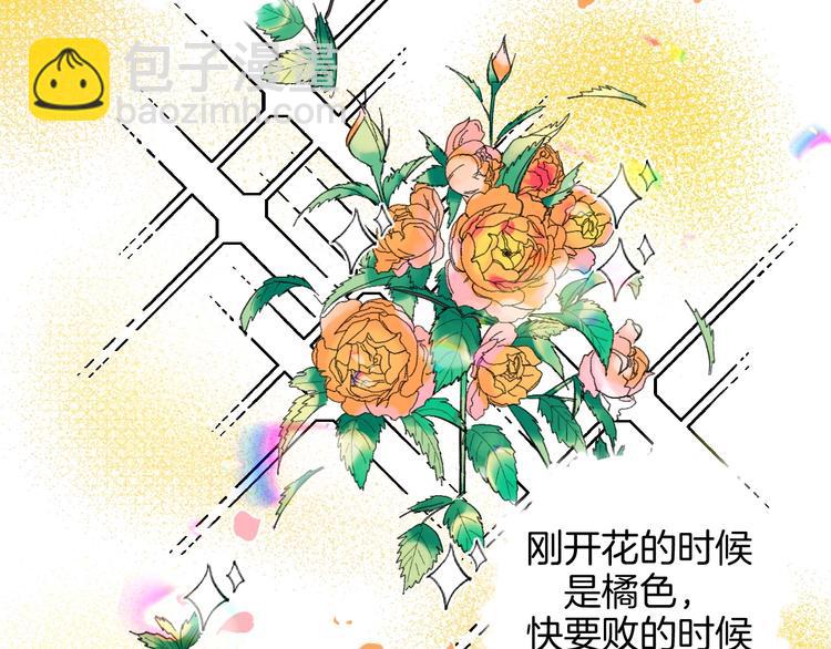 华氏97.8等于摄氏多少度漫画,第19话 花匠 心匠2图