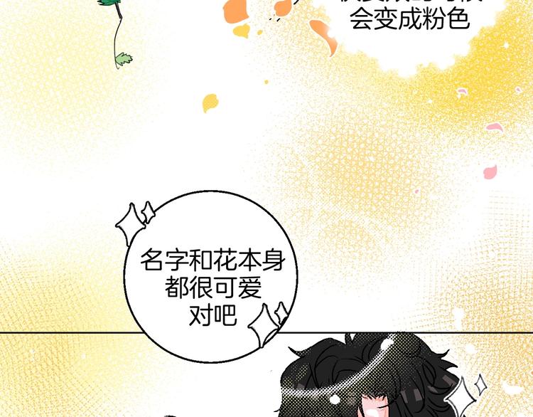 华氏97.8等于摄氏多少度漫画,第19话 花匠 心匠1图