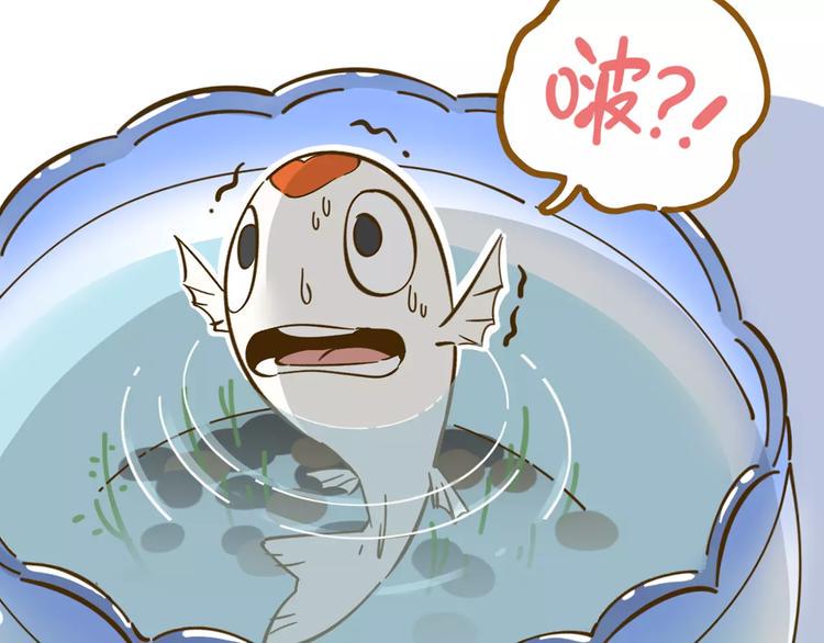 锦鲤俱乐部漫画,第13-2话 清蒸锦鲤1图