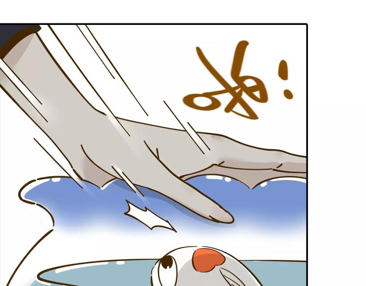锦鲤俱乐部漫画,第13-2话 清蒸锦鲤1图