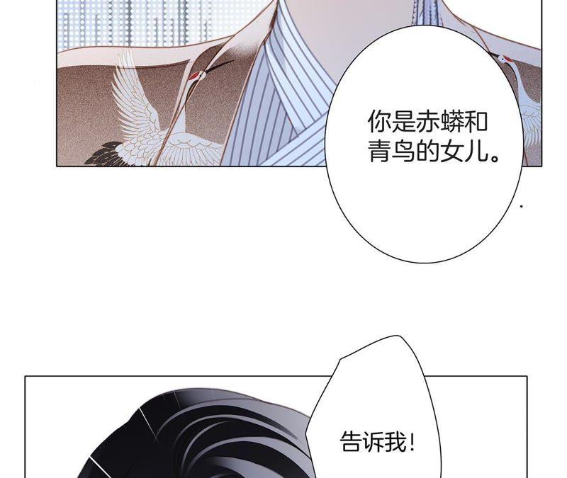 隐世华族全集免费漫画下拉式漫画,第38话 引路2图