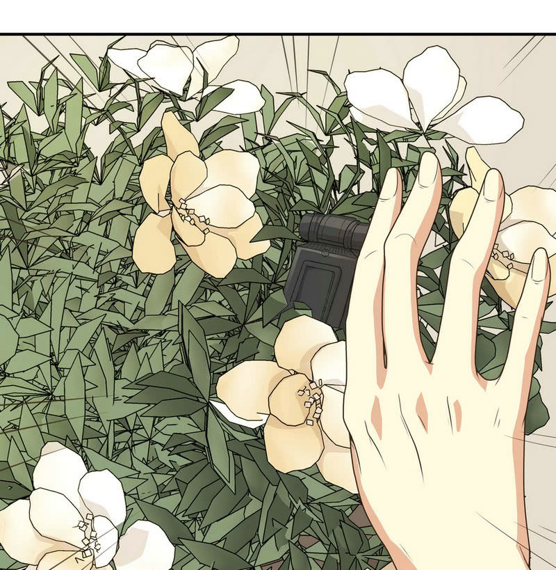 我和影帝谈了三年地下恋爱漫画,第二季25话  你的命没有如果1图
