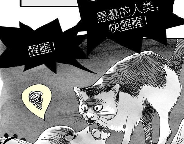 毛绒绒漫画,第9话 我的床上多了一个男生1图
