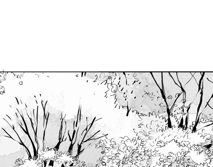 毛绒绒漫画,第90话 不可能的奇迹1图