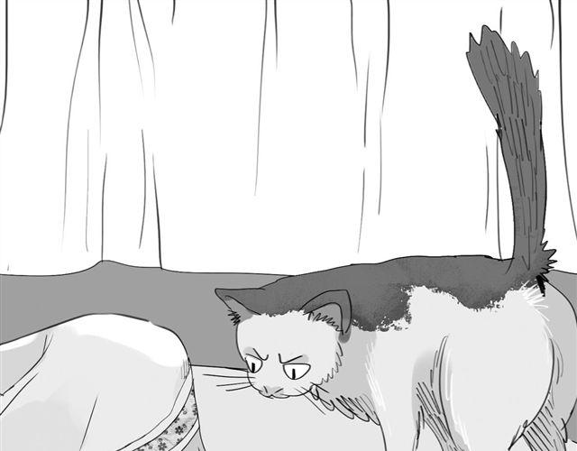 毛绒绒漫画,第37话 那是我最讨厌的表情2图