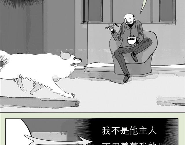 毛绒绒漫画,第23话 不准玩我的狗！1图