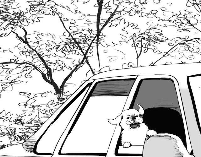 毛绒绒漫画,第57话 那是很早以前的事了2图