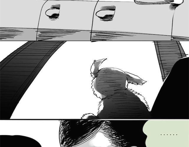 毛绒绒漫画,第57话 那是很早以前的事了1图