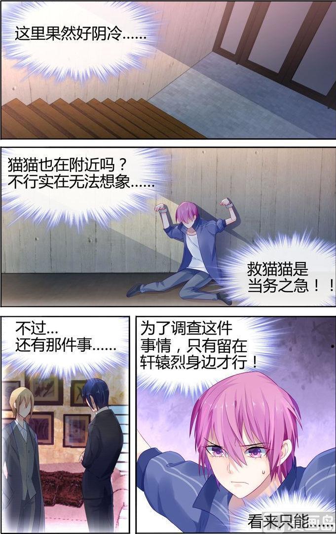 极品辣妈不好惹最后一集大结局漫画,第18话 法之契约1图