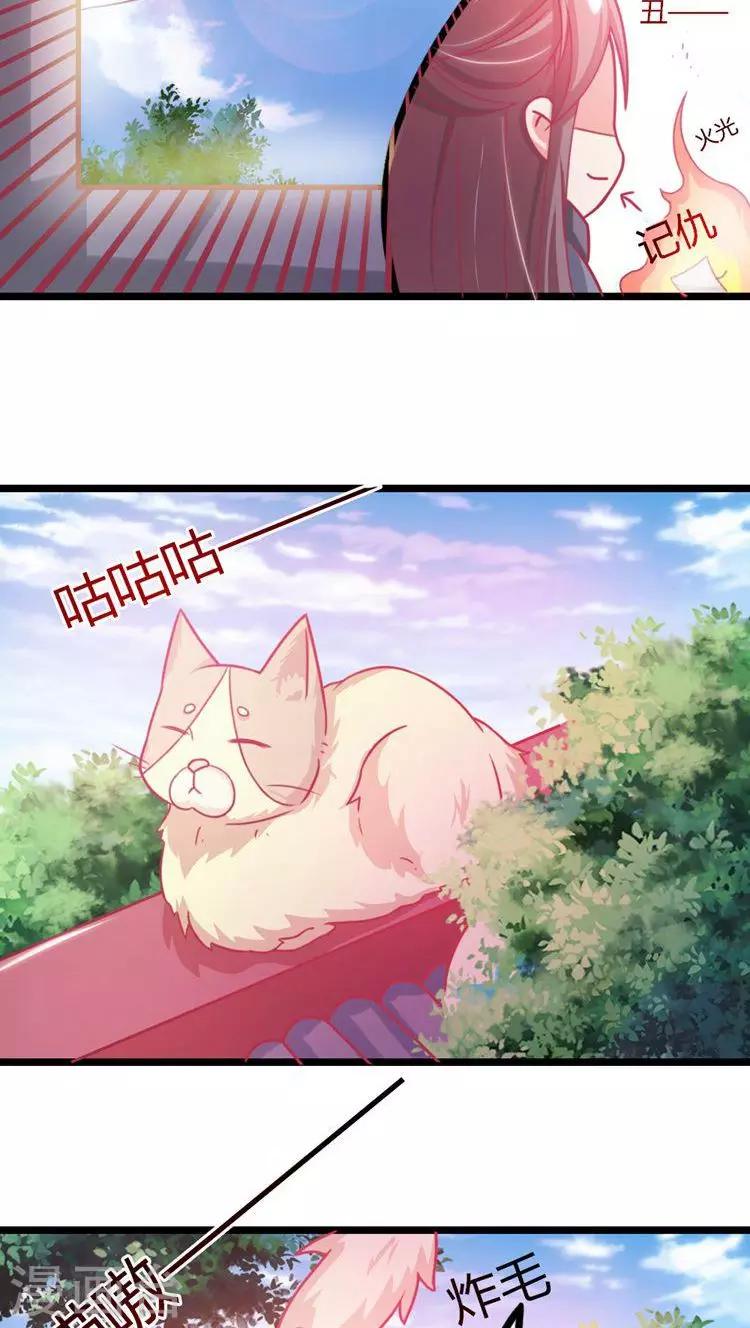 溺宠逃妃漫画,第13话 打击报复2图