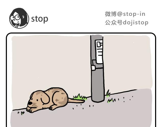 嗨我的顾先生小说漫画,单身狗保护协会1图