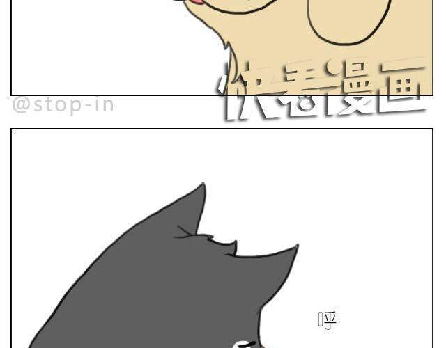 嗨我的梦歌词漫画,在他回来之前我陪你1图