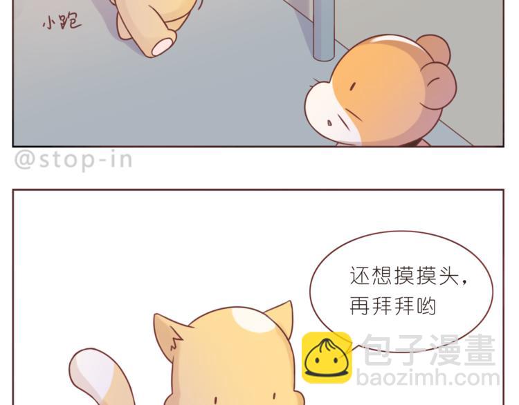 嗨我的梦舞蹈完整版漫画,第206话 我只喜欢你2图