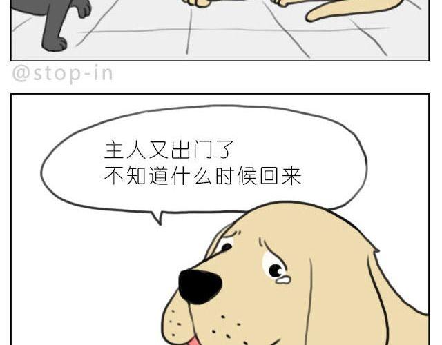 嗨我的梦歌词漫画,在他回来之前我陪你2图