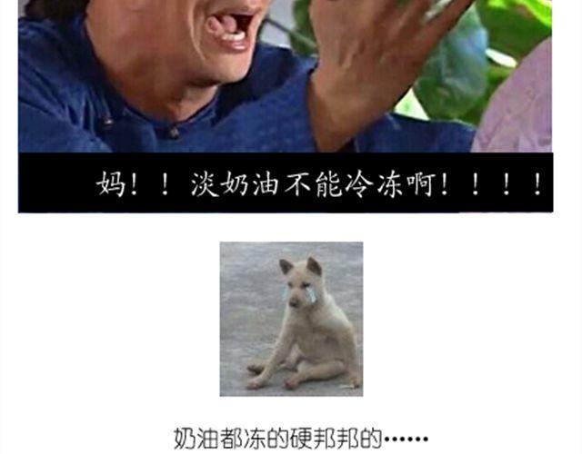 毁灭宇宙漫画,法式马卡龙2图