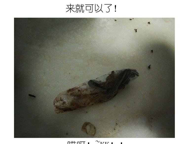 毁灭工具漫画,别样下午茶1图