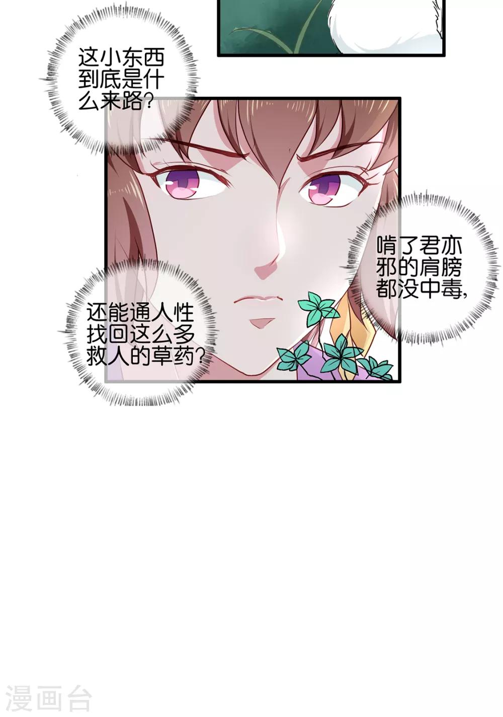 天才小毒妃芸汐小说漫画,第190话 搜捕秦王妃！2图