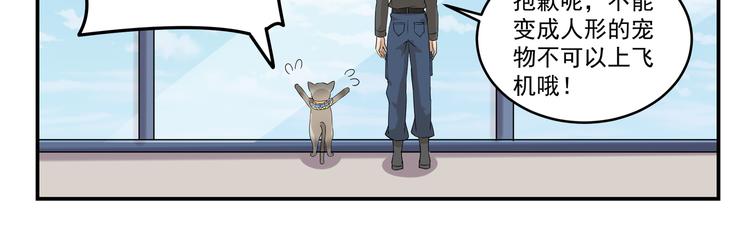 千精雷神配队漫画,第438话  想干什么1图