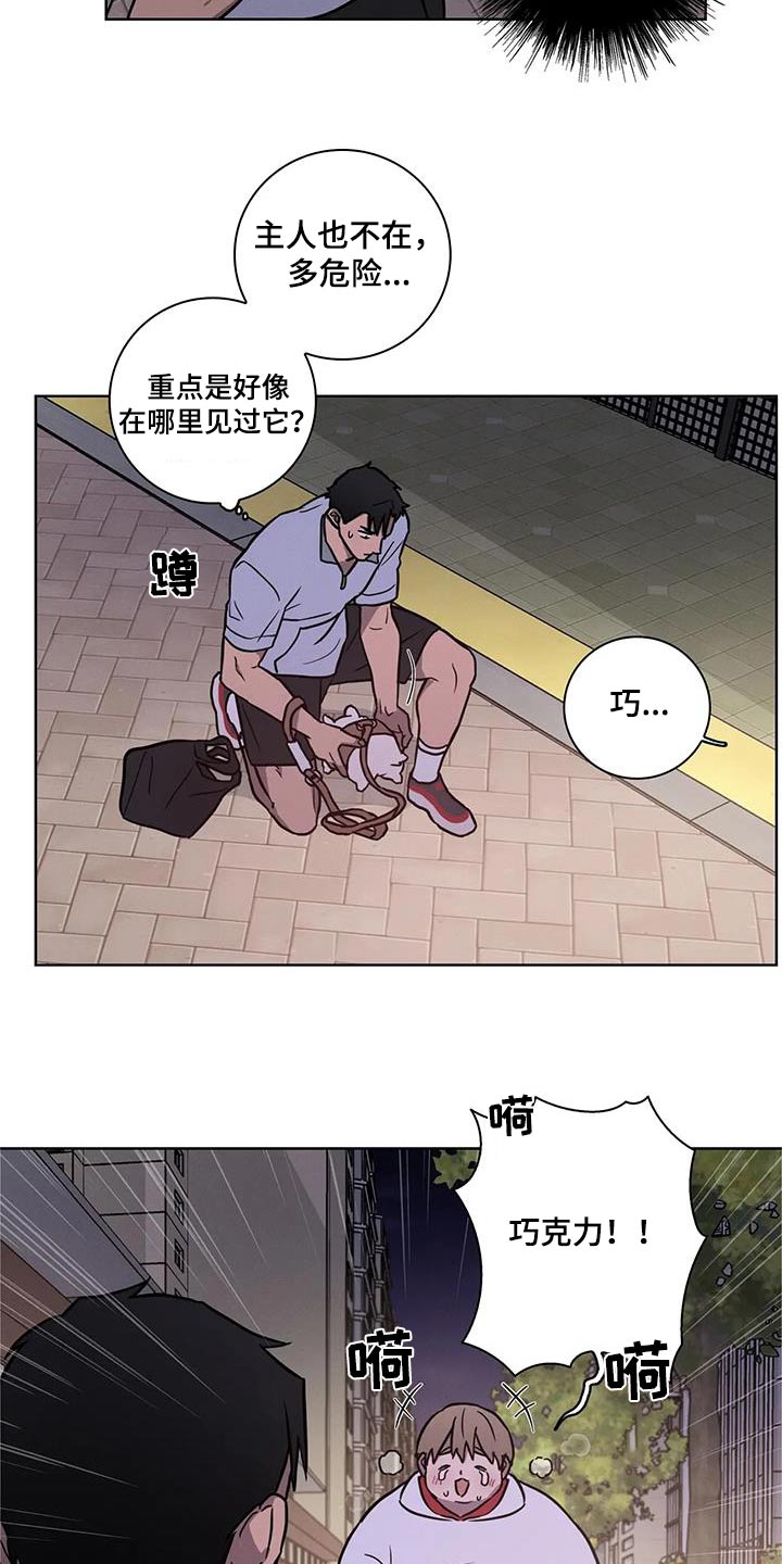 健身操30分钟完整版全身运动漫画,第38章：散步1图