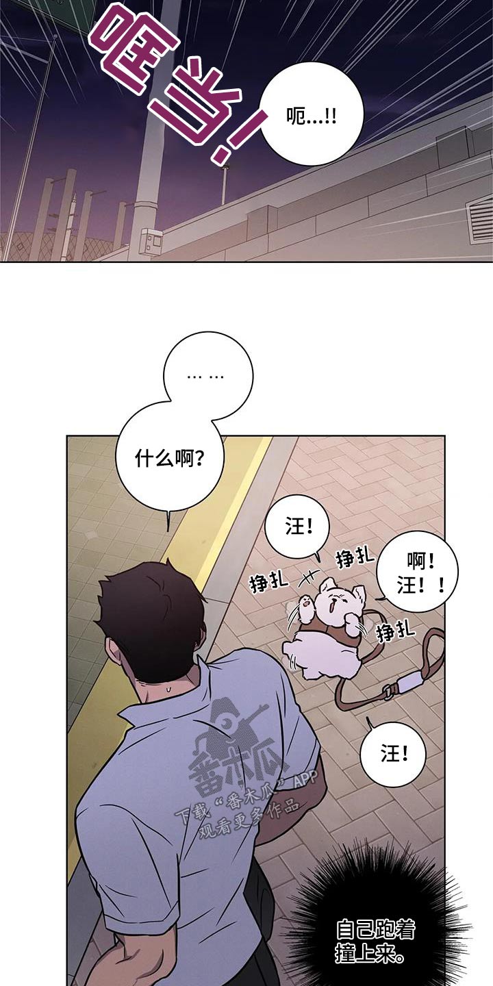 健身操30分钟完整版全身运动漫画,第38章：散步2图