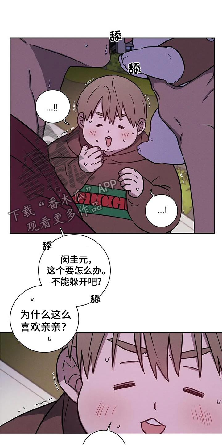 健身情谊漫画,第40话1图
