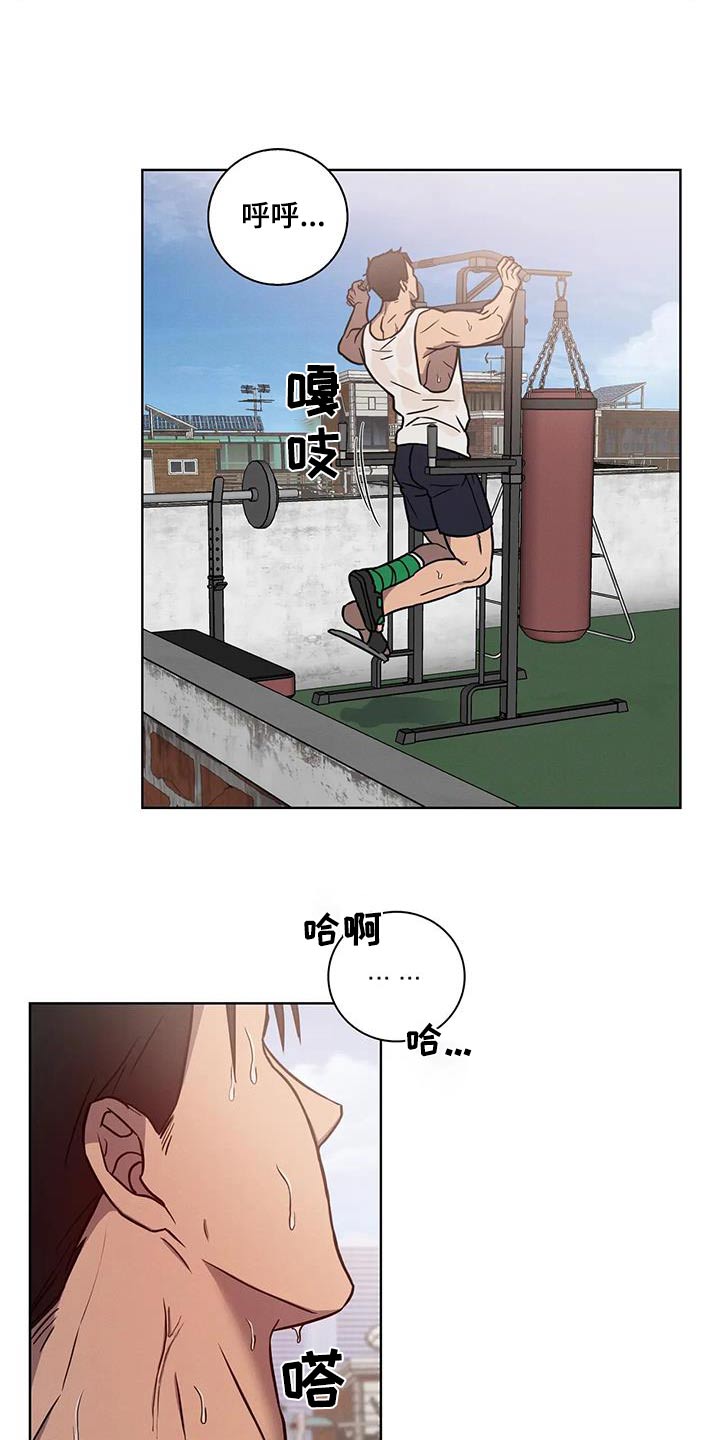 健身情谊陶剑漫画,第44话2图