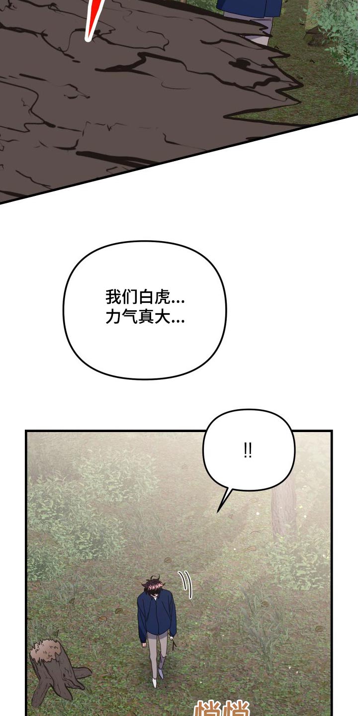 虎的声音漫画,第82章：你赢了2图