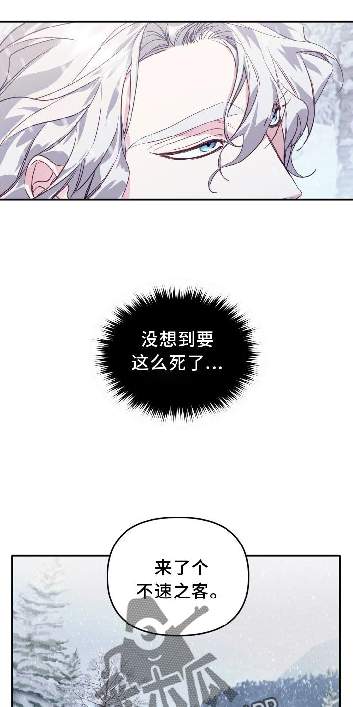 虎的最佳婚配天生一对漫画,第21话2图