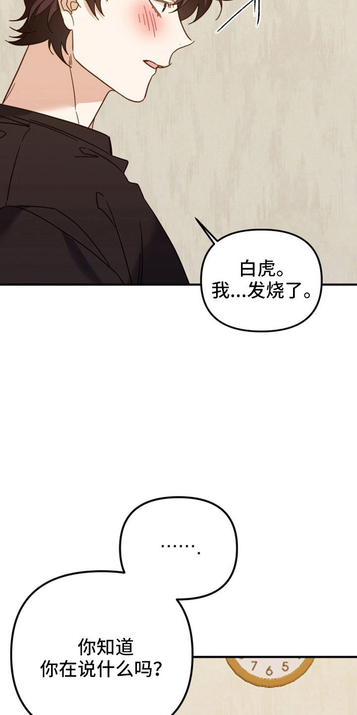 虎的声音能达到多少分贝漫画,第37话2图