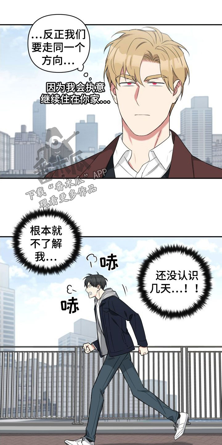 倒霉的大灰狼的故事漫画,第14话1图