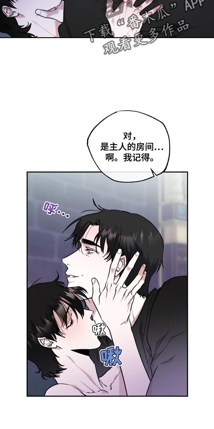 血腥宠儿漫画漫画,第51章：到此为止吧1图