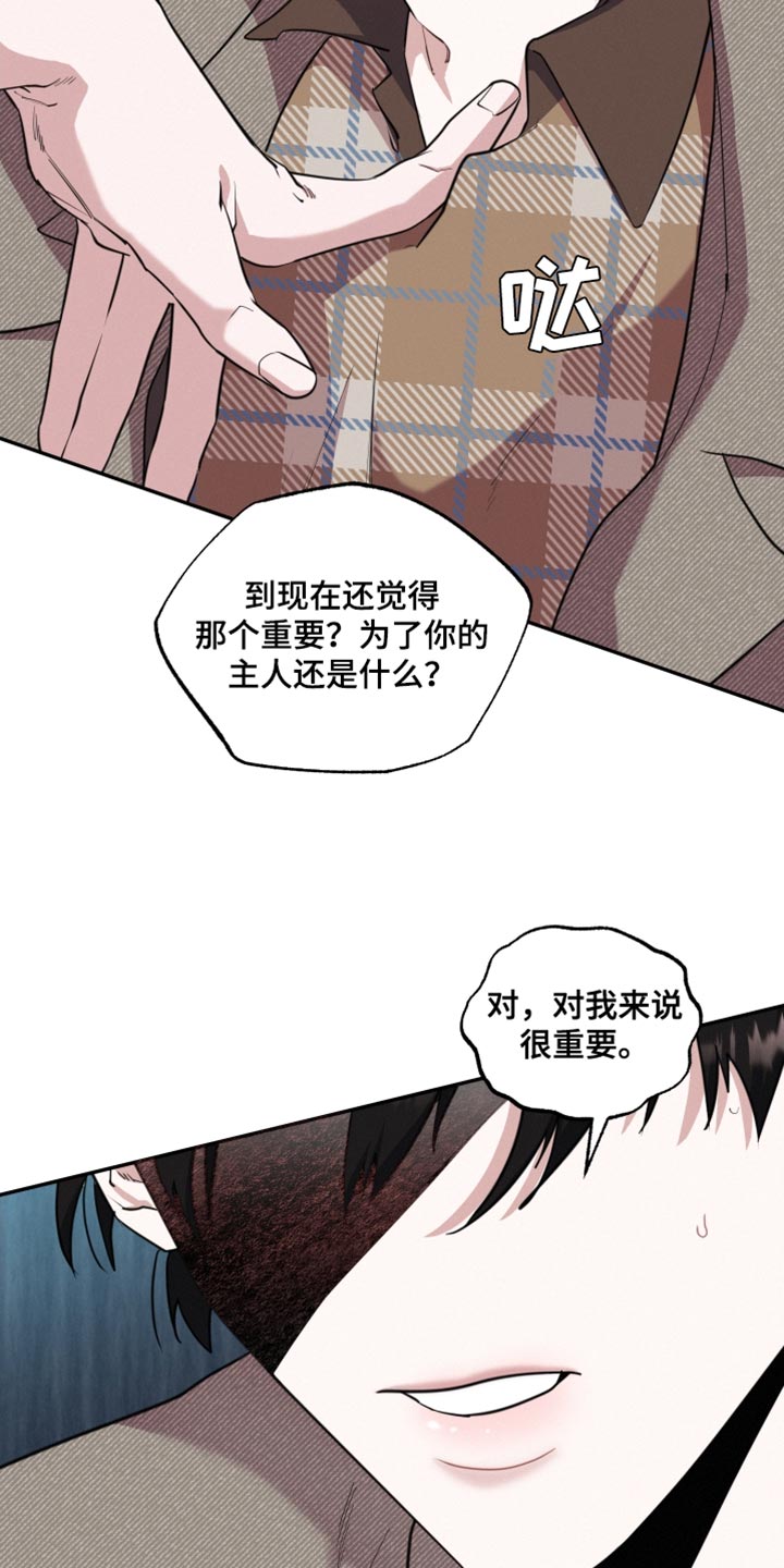 血腥玛丽女王简介漫画,第52章：真的很有趣2图