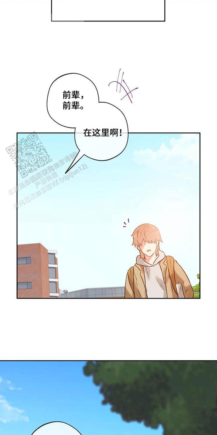 不许动漫画,第44话2图